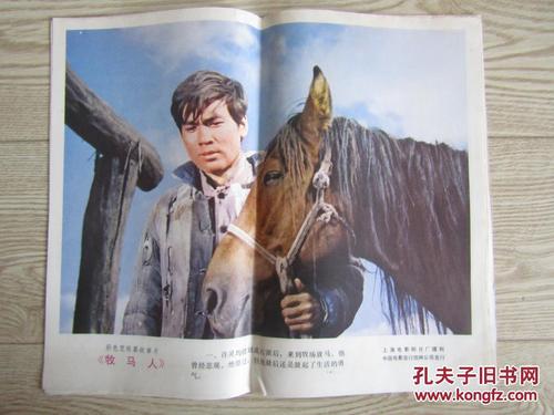 北里大学硕士成绩单